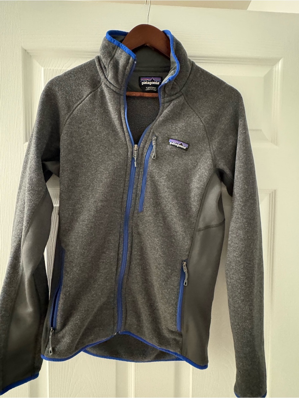 Patagonia Gray Fleece Jacket with Blue Accents